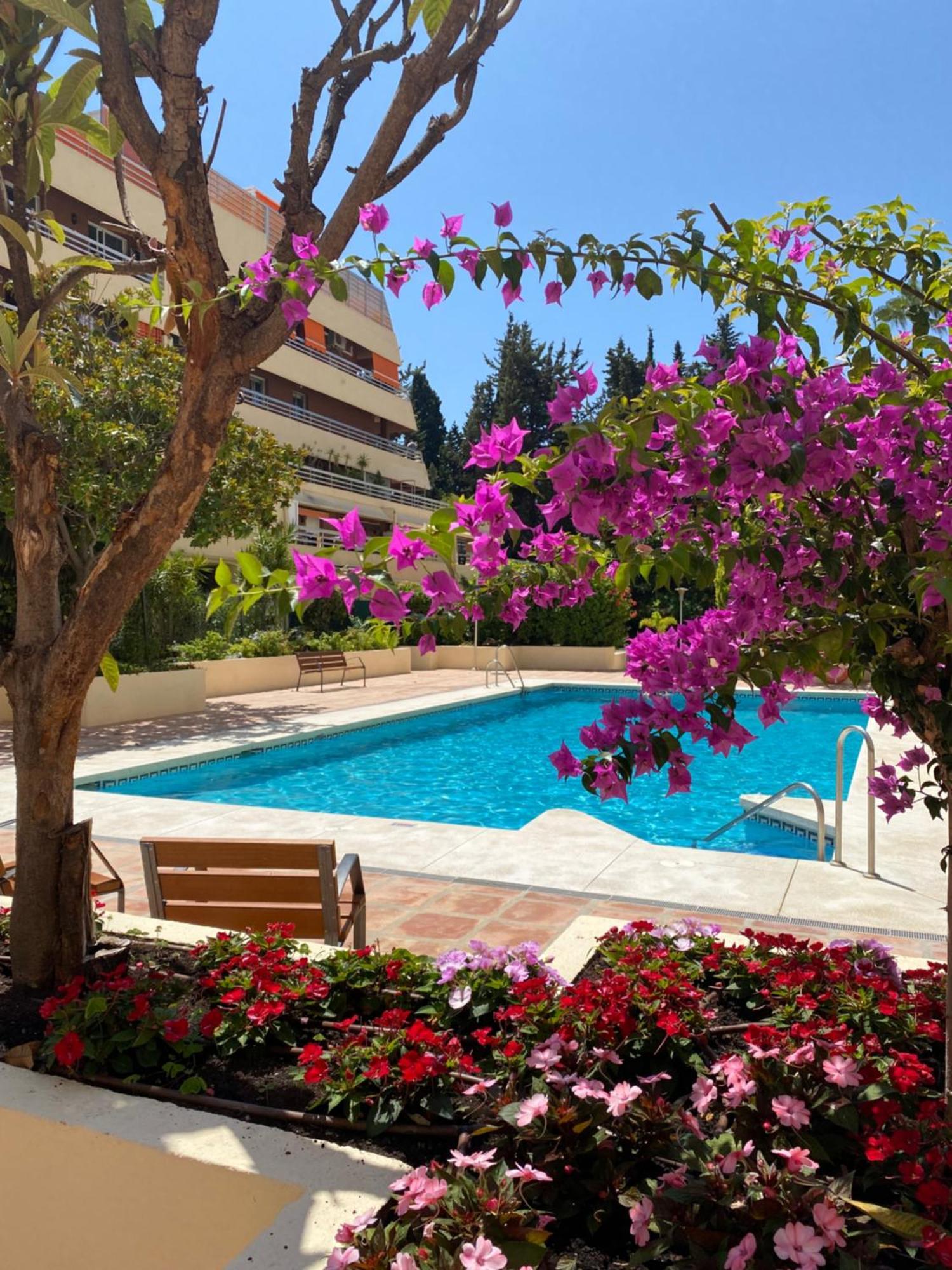 Apartamento Al Parque Marbella, Cerca De Mar Y Centro De Марбеля Екстериор снимка